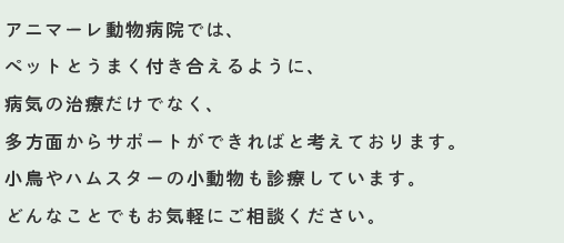 アニマーレ動物病院では、ペットとうまく付き合えるように、病気の治療だけでなく、多方面からサポートができればと考えております。小鳥やハムスターの小動物も診療しています。どんなことでもお気軽にご相談ください。