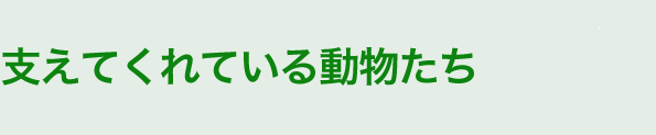 支えてくれる動物たち
